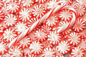Happy Holidays!