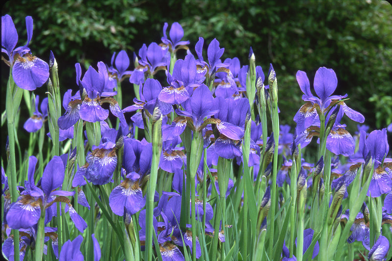 Playlist: Spring Mix