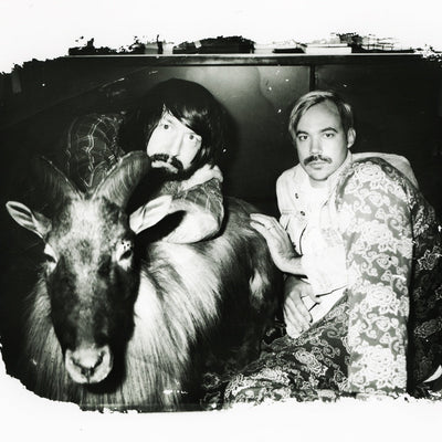 DFA1979 Photos