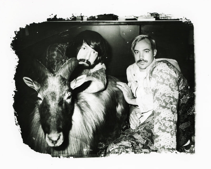 DFA1979 Photos