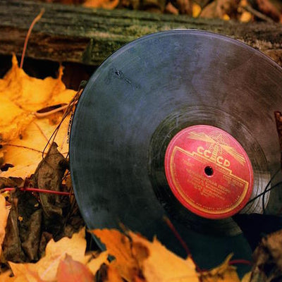 AUTUMN PLAYLIST 2016