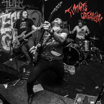 New LP from Timmy's Organism + Single Premiere