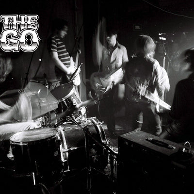 Vault 41 The Go Photo Book